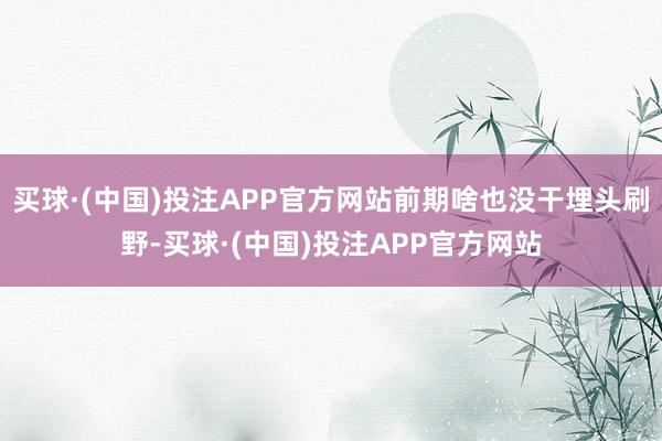 买球·(中国)投注APP官方网站前期啥也没干埋头刷野-买球·(中国)投注APP官方网站